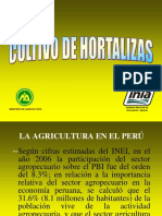 presenta-hortalizas-minag.pdf