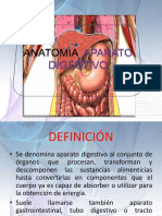 Anatomia Del Aparato Digestivo