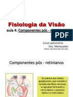 Fisiologia Pos Retinianas Aula 4