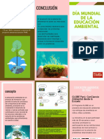 Triptico Educacion Ambiental