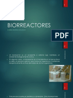 Biorreactores