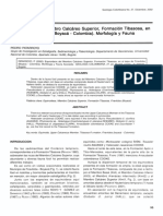 Equinoideos Del Miembro Calcáreo Superior, de La Formación Tibasosa, en El Área de Firavitoba Boyacá.