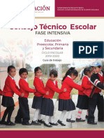 Guiìa CTE Fase Intesiva 2019-20 OK.pdf