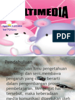 Multimedia