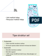 Biologi Sel