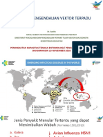 Kebijakan Pengendalian Vektor Pelatihan Kalsel - Nov 2018