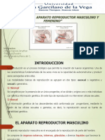 EL APARATO REPRODUCTOR Caracteres Anatomicos Funcionales 1