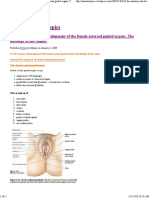 Female External Genital Organs Anatomy Development