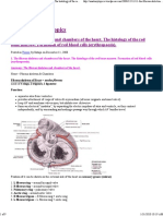 The Fibrous Skeleton and Chambers of The Heart. The Histology of The Red Bone Marrow. Formation of Red Blood Cells (Erythropoesis) PDF