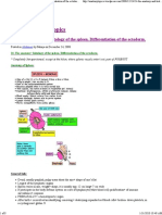 The Anatomy and Histology of The Spleen. Differentiation of The Ectoderm PDF