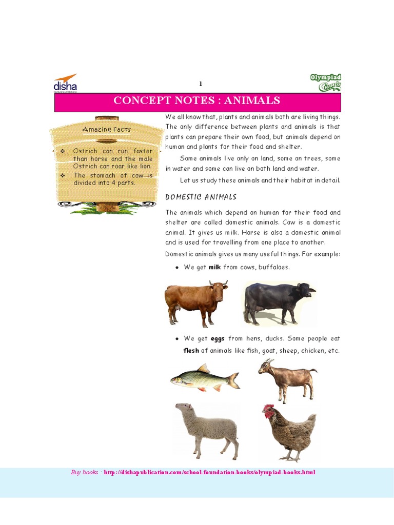 Understanding Animal Habitats and Types | PDF | Organisms | Nature