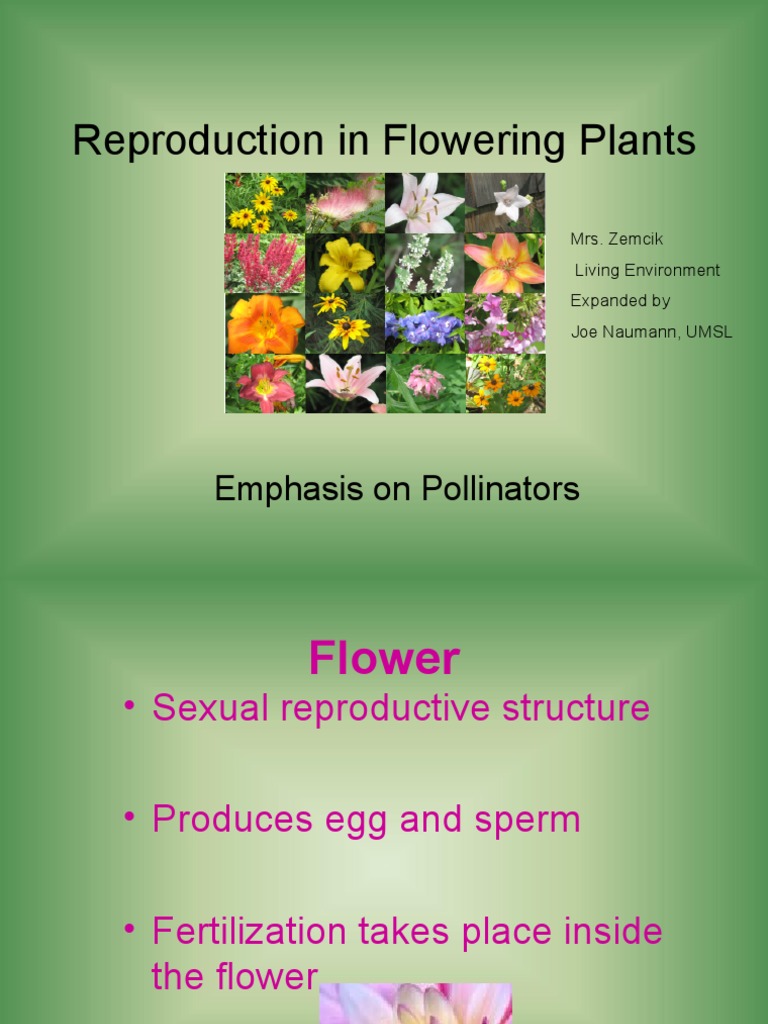 Pollination and Reproduction in Plants | PDF | Pollinators | Pollination