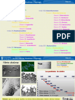 Tema 23-24