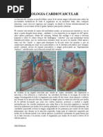 Download Notas de Cardiologa Necroman by Vic Pilot SN42117106 doc pdf