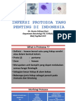 4939 - Infeksi Protozoa Yang Penting Di Indonesia