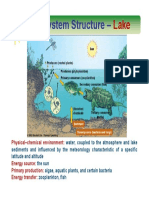 Ecosystem Structure - : Physical-Chemical Environment