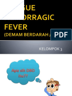 Dengue Hemorragic Fever