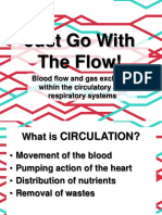 Just Go With The Flow!: Blood Flow and Gas Exchange Within The Circulatory and Respiratory Systems