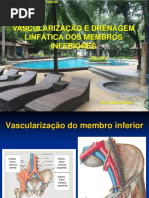 26-04 Vascularização e Drenagem Linfática Do Membro Inferior