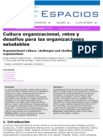 Cultura Organizacional