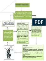 Antecedentes de La Seguridad