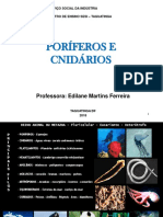 Poriferos-e-Cnidarios.ppt