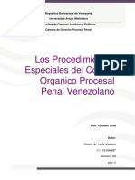 Los Procedimientos Especiales