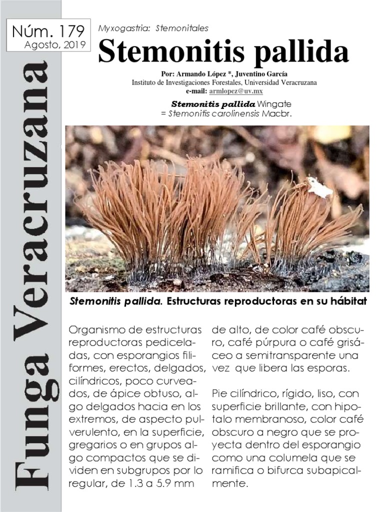Estructuras de Stemonitis pallida | PDF | Eucariotas | Organismos