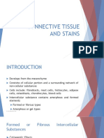 15. Connective Tissue Stains