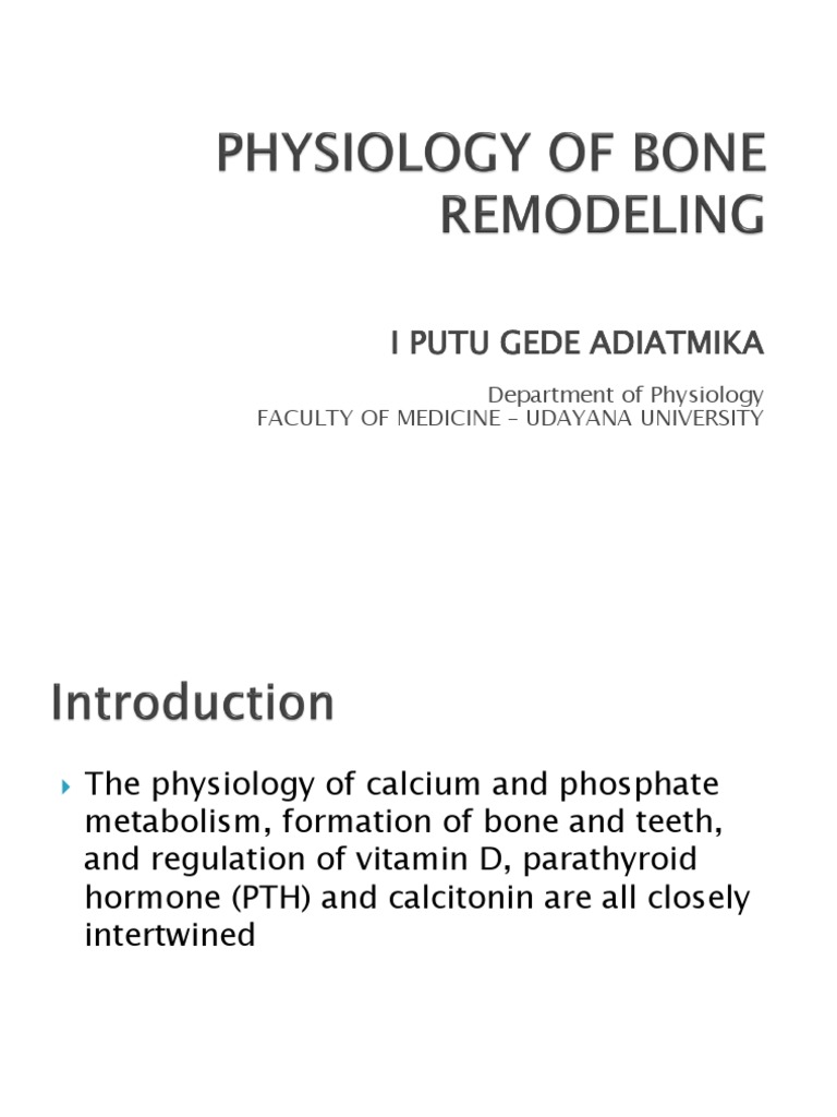 B. Bone Remodeling PDF Bone Osteoblast
