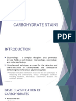 Detect Carbohydrates with PAS Stain