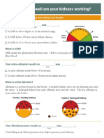 Explaining Kidney Test Results 508 PDF