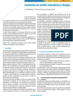 La Inseminacíon Intrauterina en Cerdos - Beneficios y Riesgos