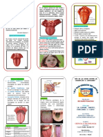 Triptico de Plantas en Peligro de Extincion de Bryan