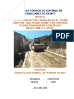 Informe de Densidad de Campo