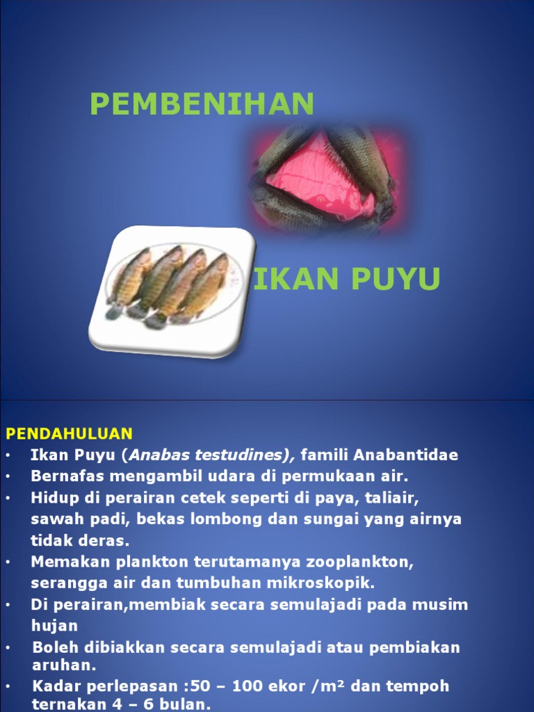 Puyu Pdf