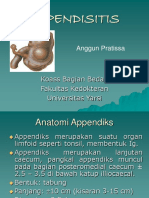 299376210-Appendisitis.ppt