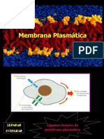 01 Membrana Plasmatica - Estrutura e Funcao e Transporte