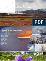 Tundra Biome Project