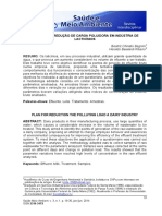 Publicação Beatriz & Heraldo UnC.pdf