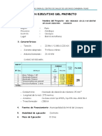 01 RESUMEN  EJECUTIVO