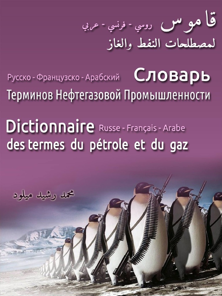 Terms Of Oil And Gas Trilingual Dictionary V1.0 PDF | PDF