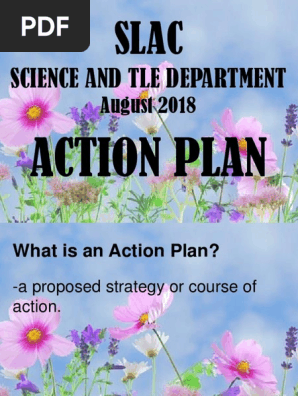 Action Plan