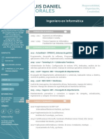 Curriculum Vitae Profesionales Centros 540 PDF