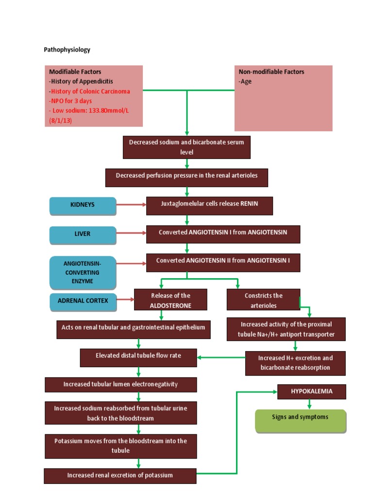 History of Appendicitis - Age: History of Colonic Carcinoma - NPO For 3 ...