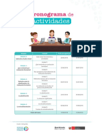 Cronograma de Actividades - 2 PDF