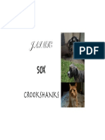 Animals 1 PDF