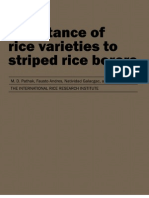 Resistance of Rice Varieties To Striped Rice Borers (TB11)