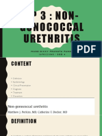 SP 3: Non-Gonococcal Urethritis: Made Dicky Pranatapande 1 6 7 0 1 2 1 0 4 5 / S G D 4