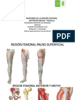 Anatomía Región Femoral Rodilla